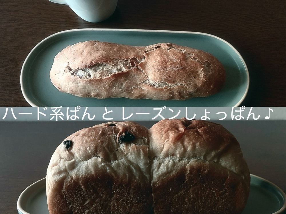 兎きち さんが投稿したパン工房　綾に関する口コミの画像
