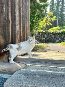 最上院庭園
