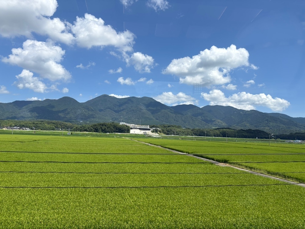 tulipさんが投稿したことこと列車に関する口コミの画像