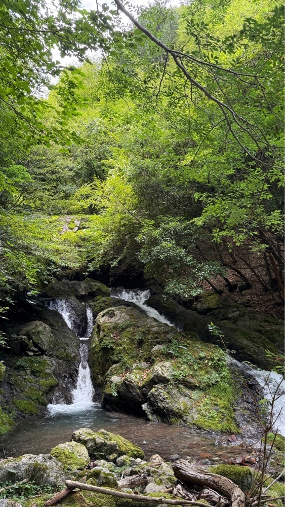 みぃさんが投稿した徳島県に関する口コミの画像