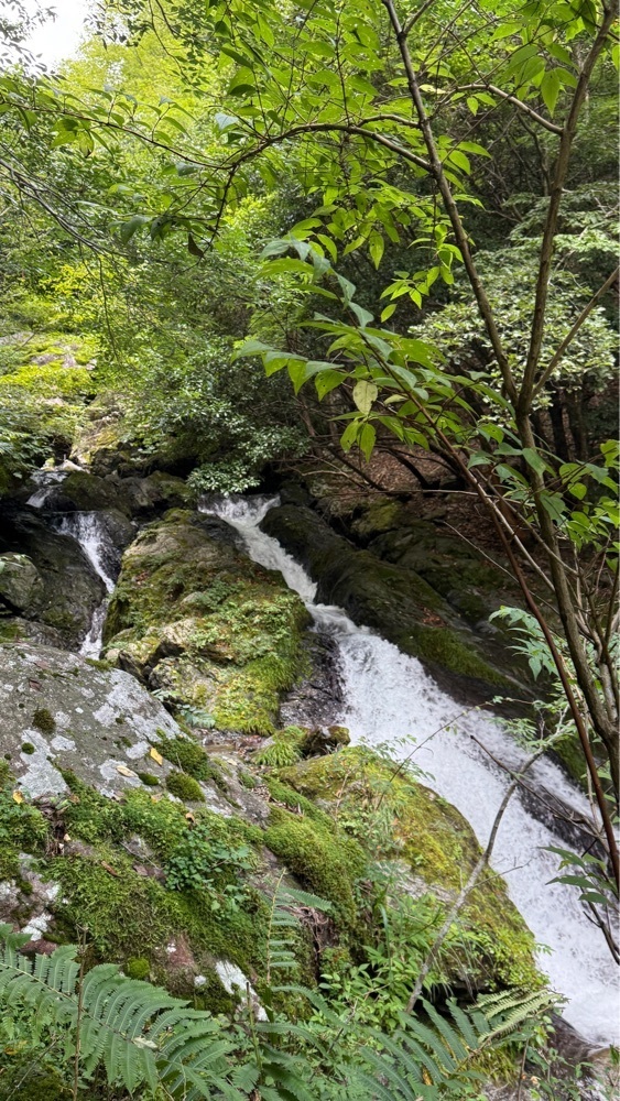 みぃさんが投稿した徳島県に関する口コミの画像
