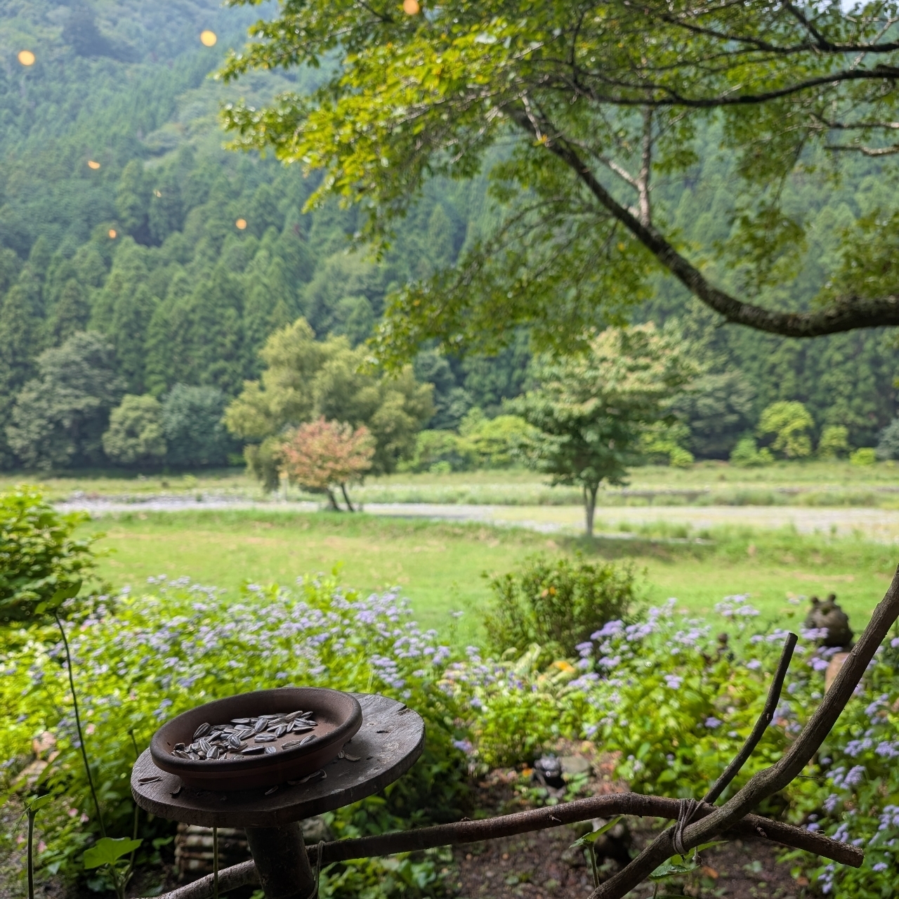 ぬっくさんが投稿したくつきそば 永昌庵（えいしょうあん）に関する口コミの画像