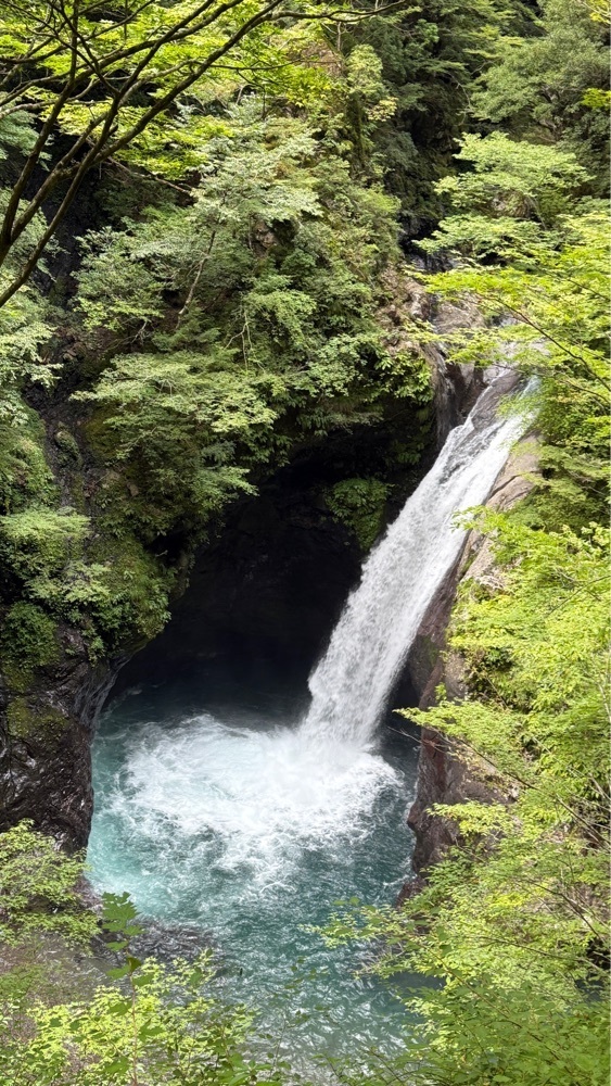 みぃさんが投稿した大釜の滝（徳島県那賀町）に関する口コミの画像