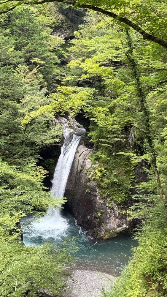 みぃさんが投稿した大釜の滝（徳島県那賀町）に関する口コミの画像