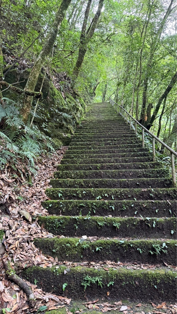 みぃさんが投稿したとどろの滝に関する口コミの画像