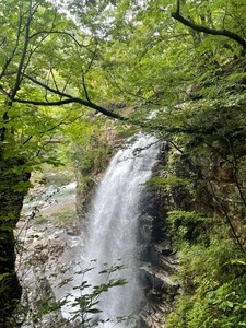 龍王峡の湿地帯