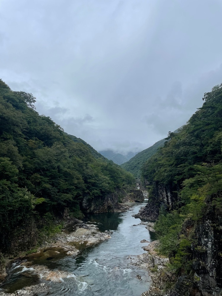 powerful_gift_4f3aさんが投稿した龍王峡の湿地帯に関する口コミの画像