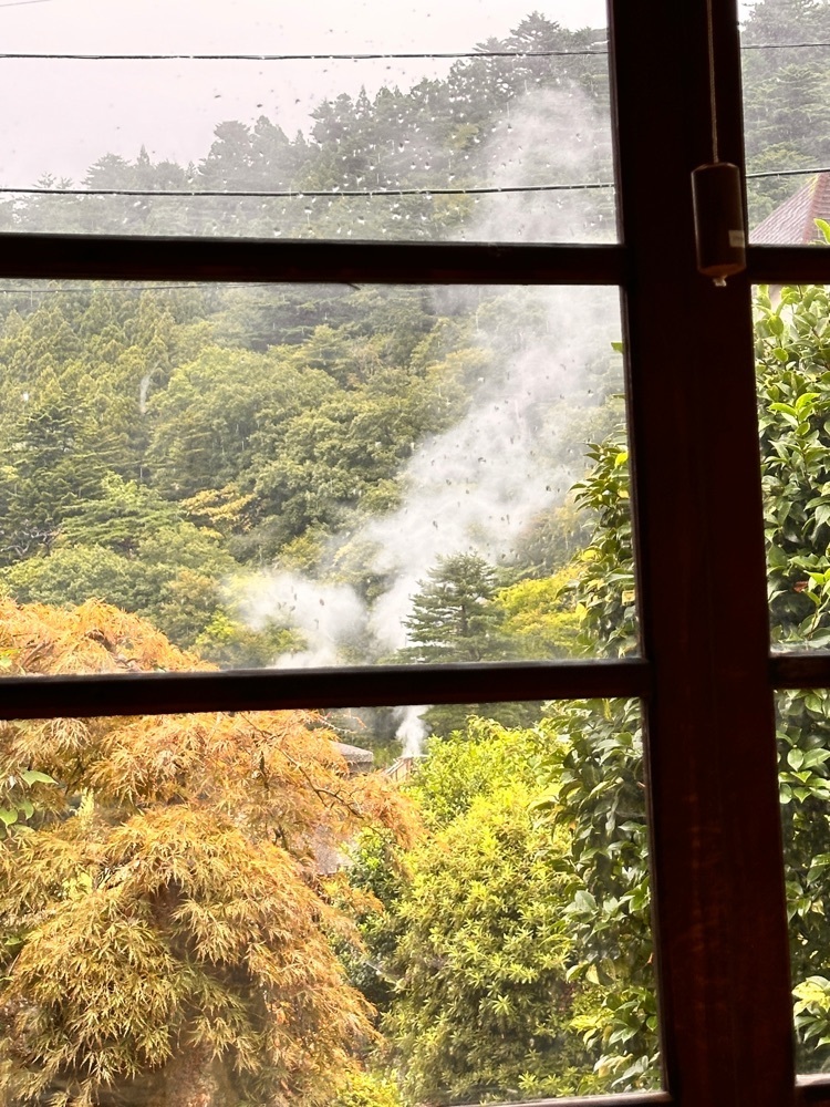かめ_メグミさんが投稿したたかはし亭に関する口コミの画像