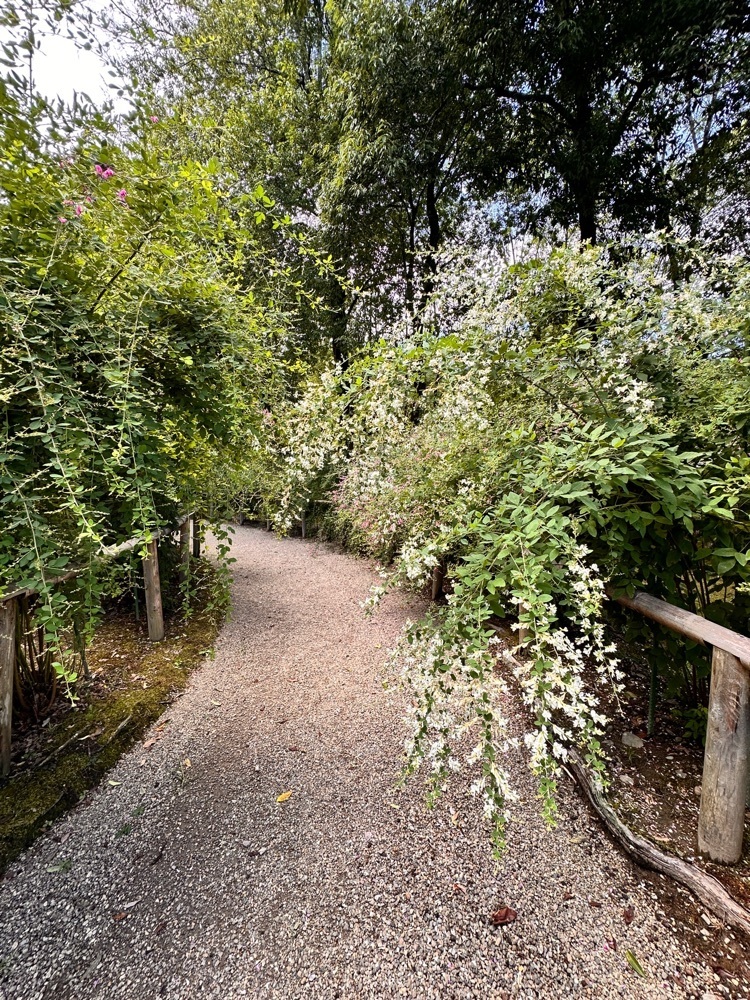 かめ_メグミさんが投稿した旧有備館庭園に関する口コミの画像