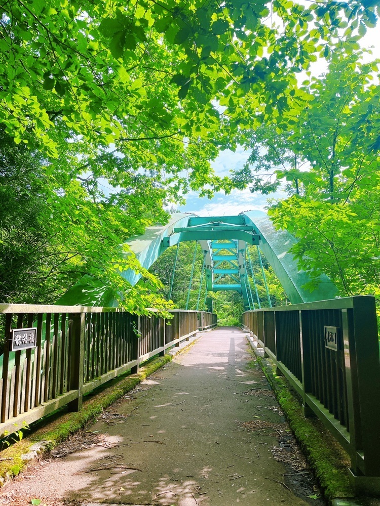 猫なぎ。さんが投稿した川内川渓谷に関する口コミの画像
