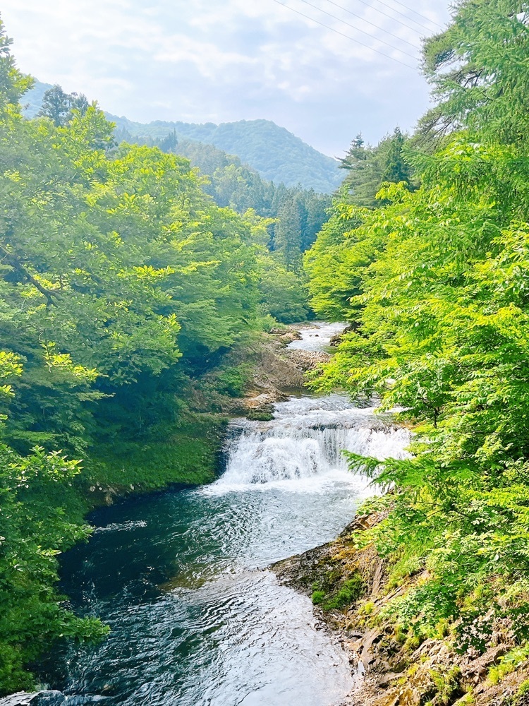 猫なぎ。さんが投稿した川内川渓谷に関する口コミの画像