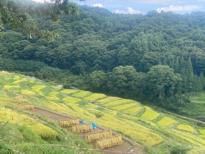稲倉の棚田