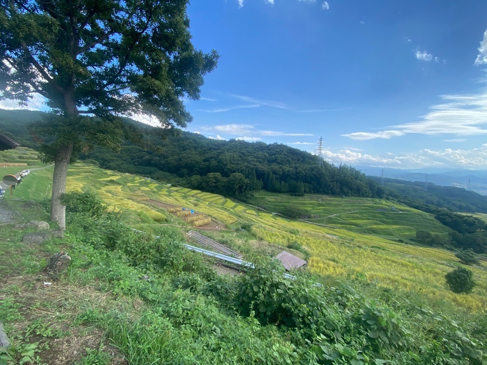 かよこさんが投稿した稲倉の棚田に関する口コミの画像