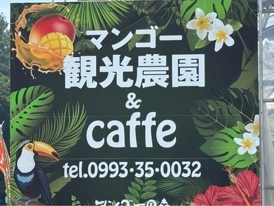 マンゴーの森