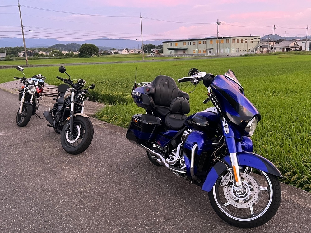ステップさんが投稿した白崎海洋公園　展望台に関する口コミの画像