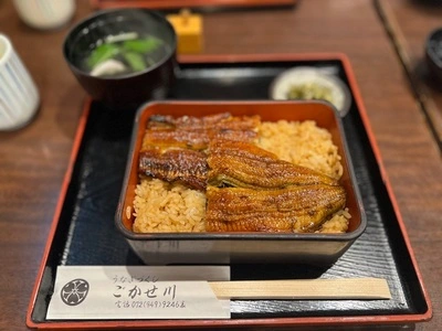 ごかせ川