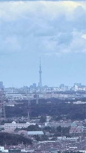 世界無名戦士の墓