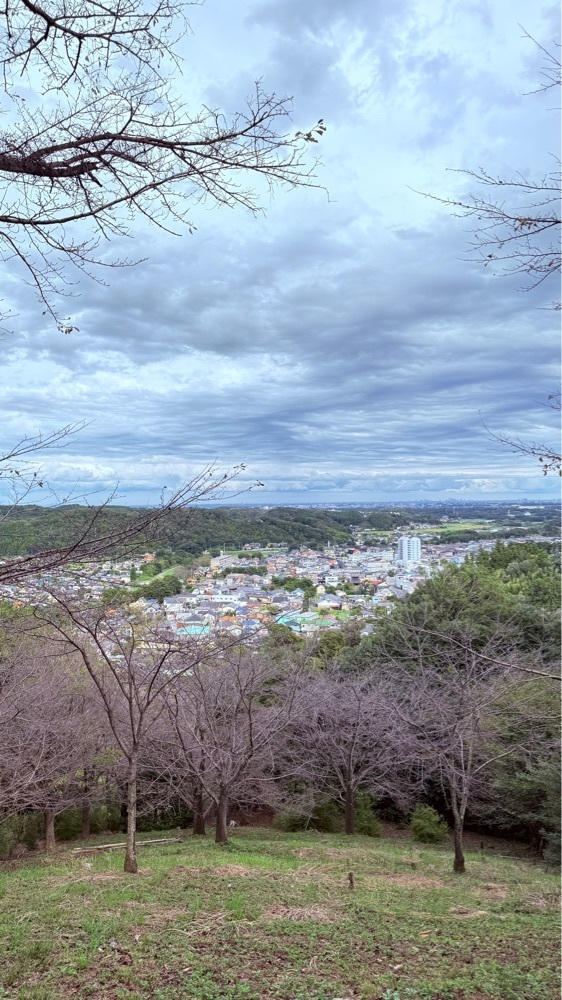 miiさんが投稿した世界無名戦士の墓に関する口コミの画像