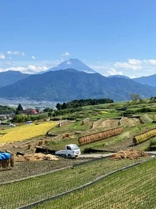 中野の棚田