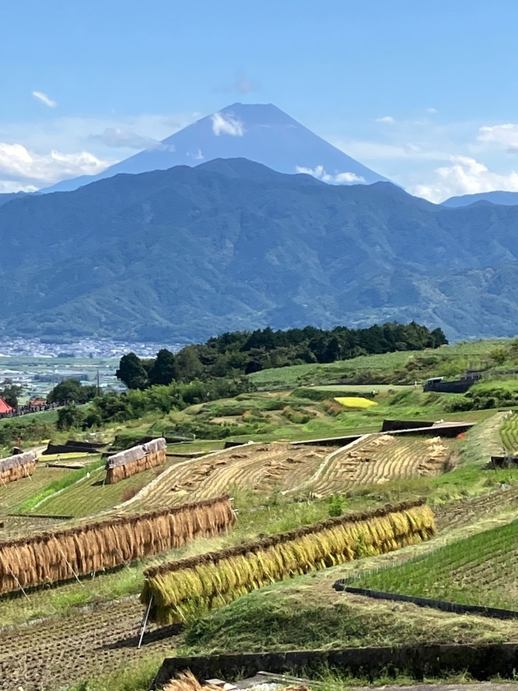 Nさんが投稿した中野の棚田に関する口コミの画像