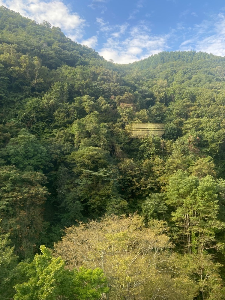 ポッキン　アンブレラさんが投稿した山田館に関する口コミの画像