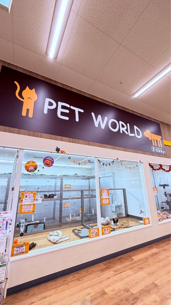 miiさんが投稿したセキチュー 上尾店に関する口コミの画像