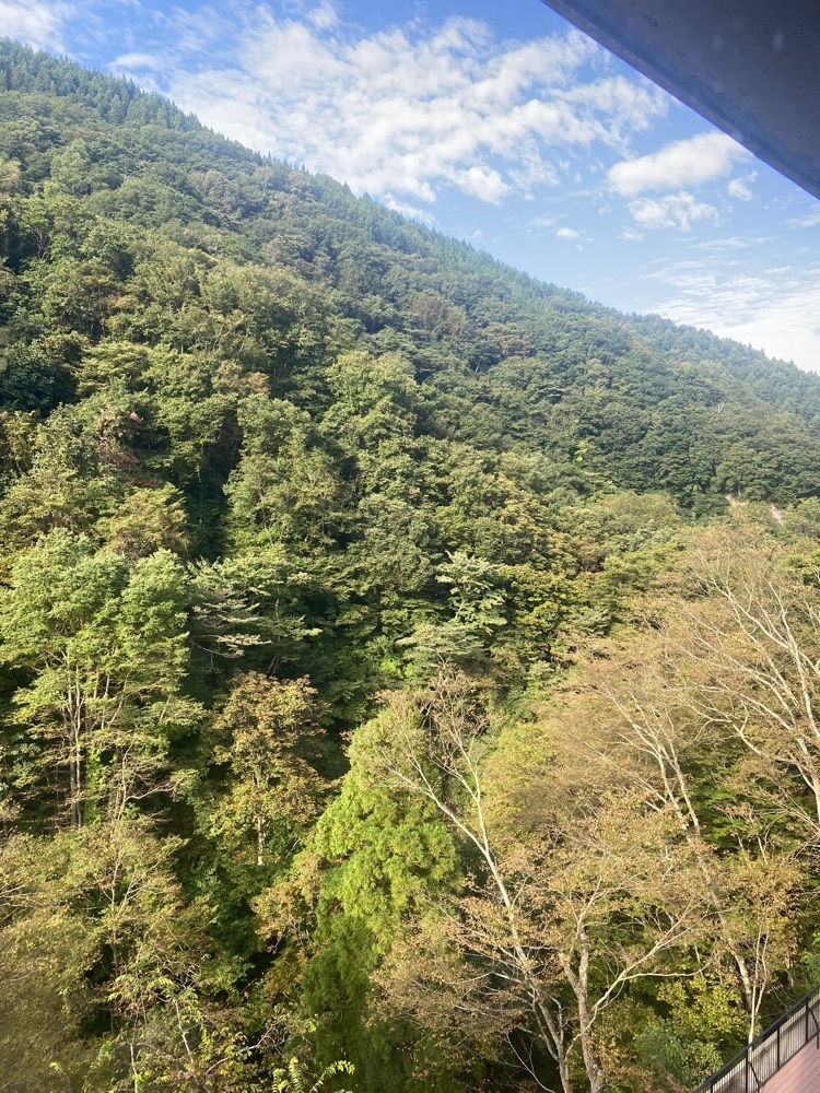 ポッキン　アンブレラさんが投稿した山田館に関する口コミの画像