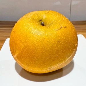 農産物直売所 やおやさん 草深店