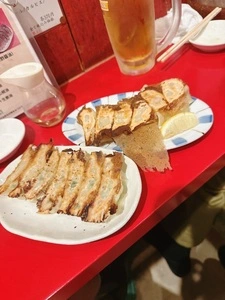 菜記餃子専門店（サイキギョウザセンモンテン）