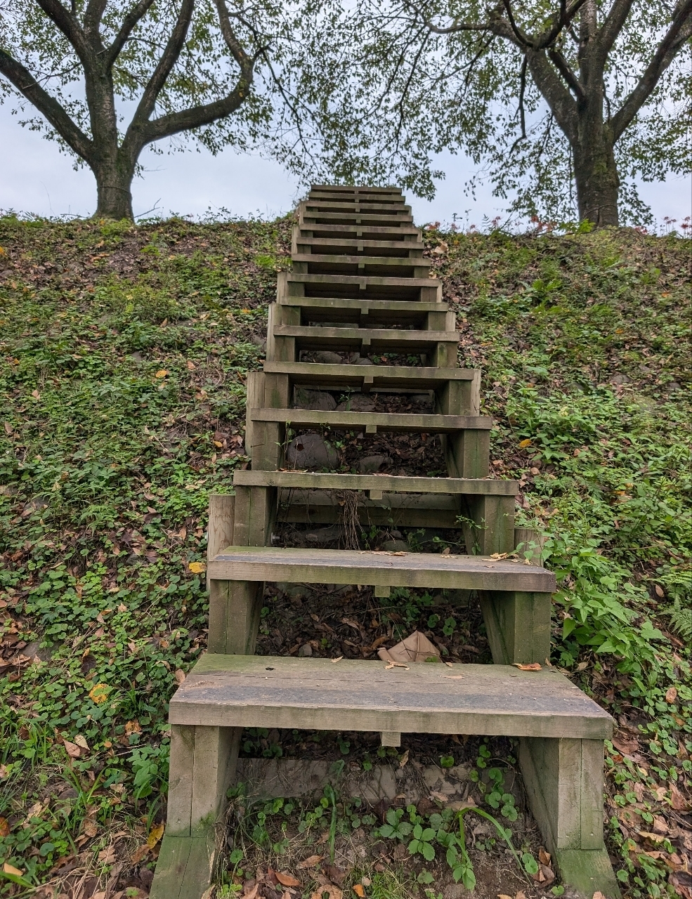 Pさんが投稿した岩井親水公園に関する口コミの画像