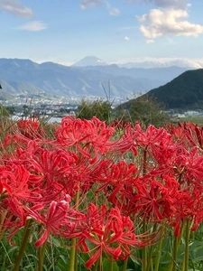 塩山桃源郷