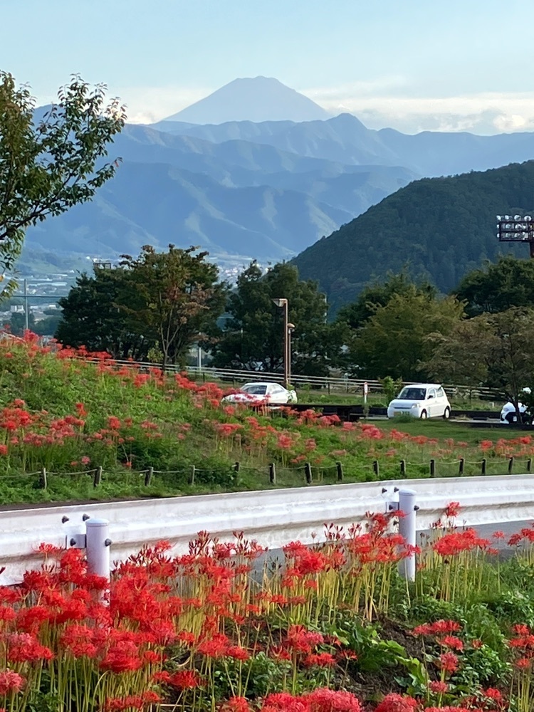 Nさんが投稿した塩山桃源郷に関する口コミの画像