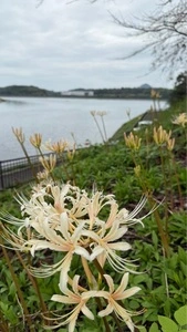 宝山湖