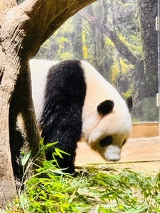 上野動物園 バードソング（藤棚休憩所売店）