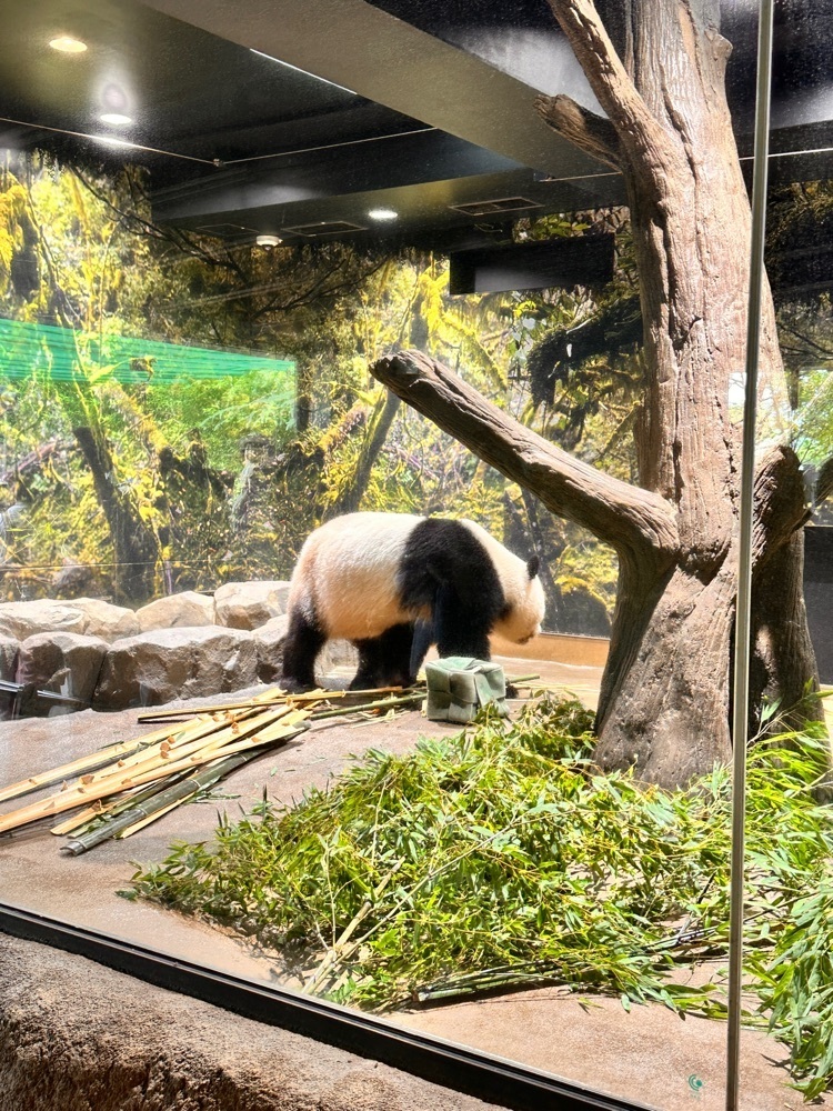 かめ_メグミさんが投稿した上野動物園 バードソング（藤棚休憩所売店）に関する口コミの画像