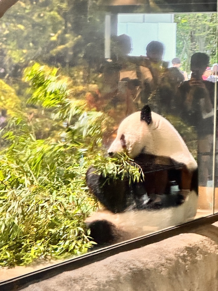 かめ_メグミさんが投稿した上野動物園 バードソング（藤棚休憩所売店）に関する口コミの画像