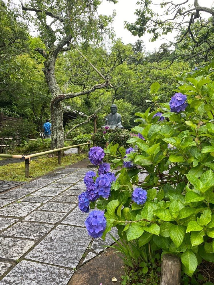 calm_climing_5c46さんが投稿した明月院　月笑軒（月笑軒）に関する口コミの画像