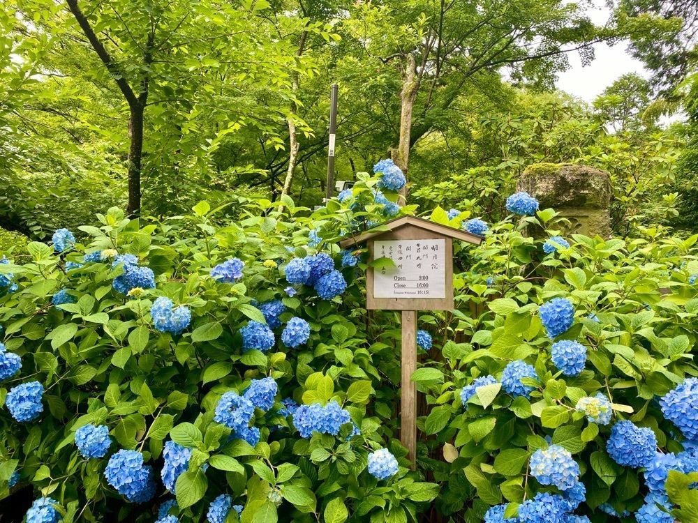 calm_climing_5c46さんが投稿した明月院　月笑軒（月笑軒）に関する口コミの画像