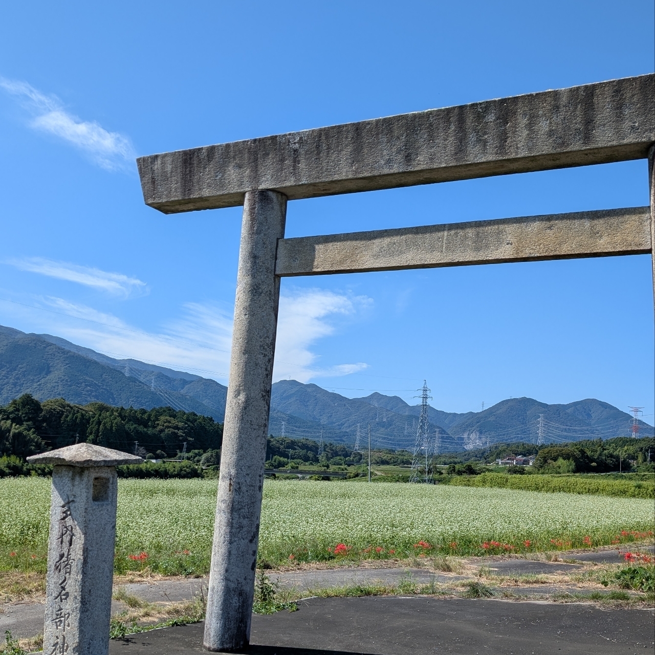ぬっくさんが投稿した丹生川駅に関する口コミの画像