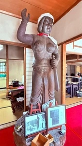 不動寺の撫子