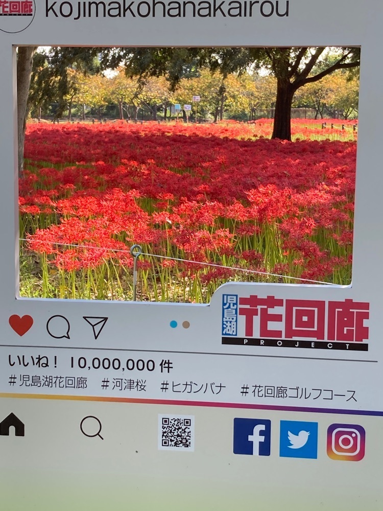 うーとらマンさんが投稿した児島湖花回廊に関する口コミの画像