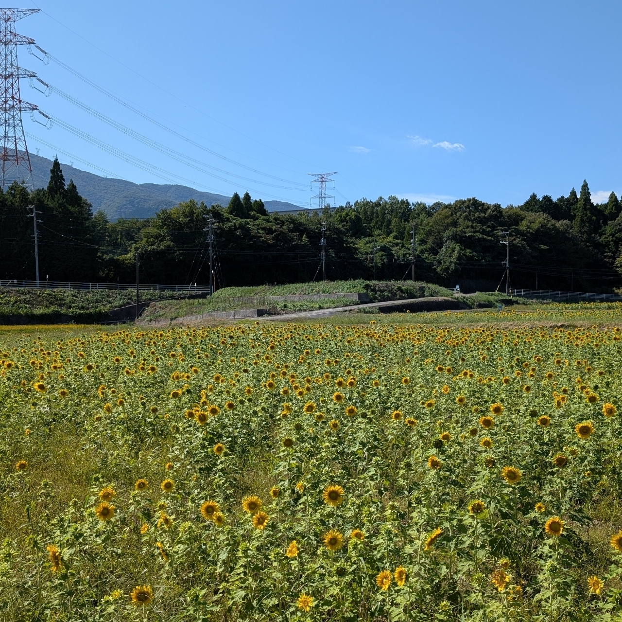 ぬっくさんが投稿した藤原岳自然科学館に関する口コミの画像