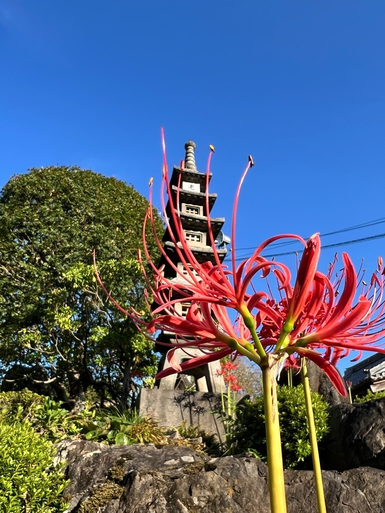 そしじさんが投稿した恩林寺に関する口コミの画像