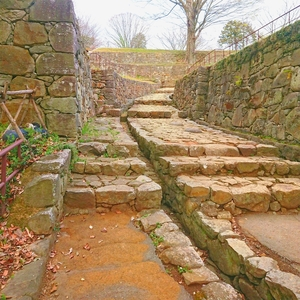 史跡金山城跡