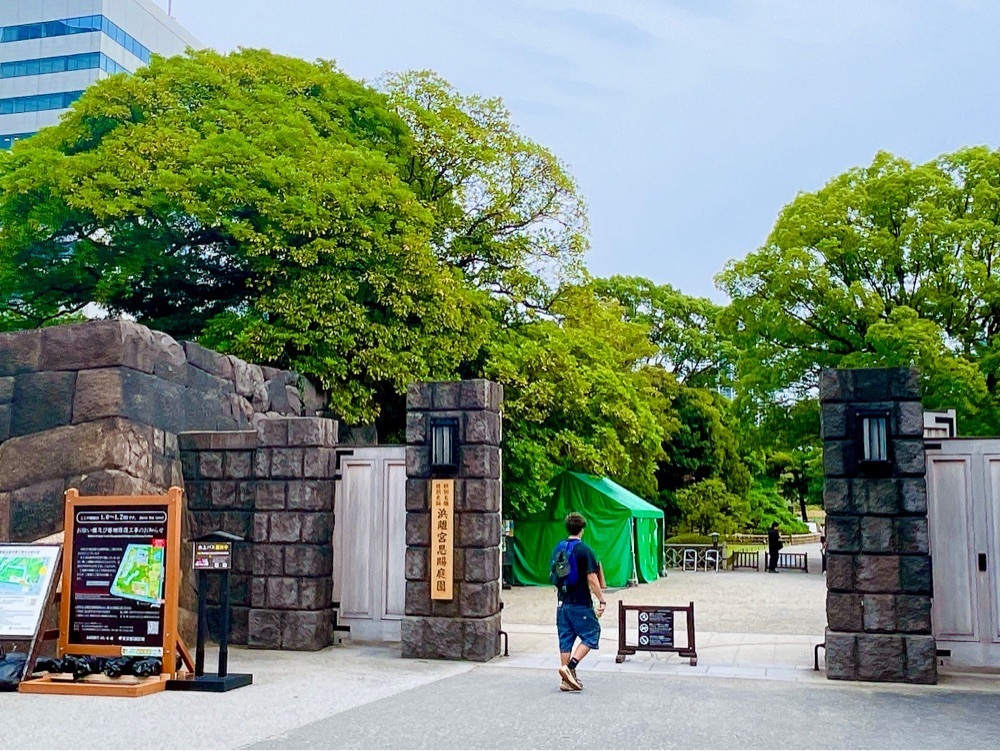 active34さんが投稿した浜離宮恩賜庭園のお花畑に関する口コミの画像