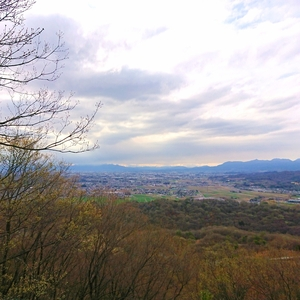 史跡金山城跡