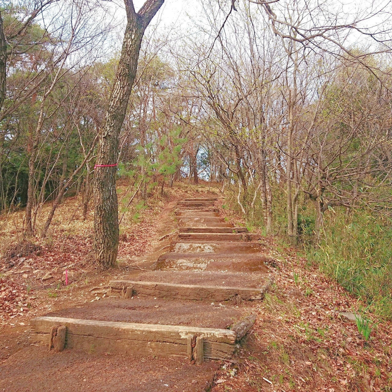 ℍ𝕚𝕤𝕒𝕞𝕒𝕣𝕦-𝕔𝕙𝕒𝕟さんが投稿した史跡金山城跡に関する口コミの画像