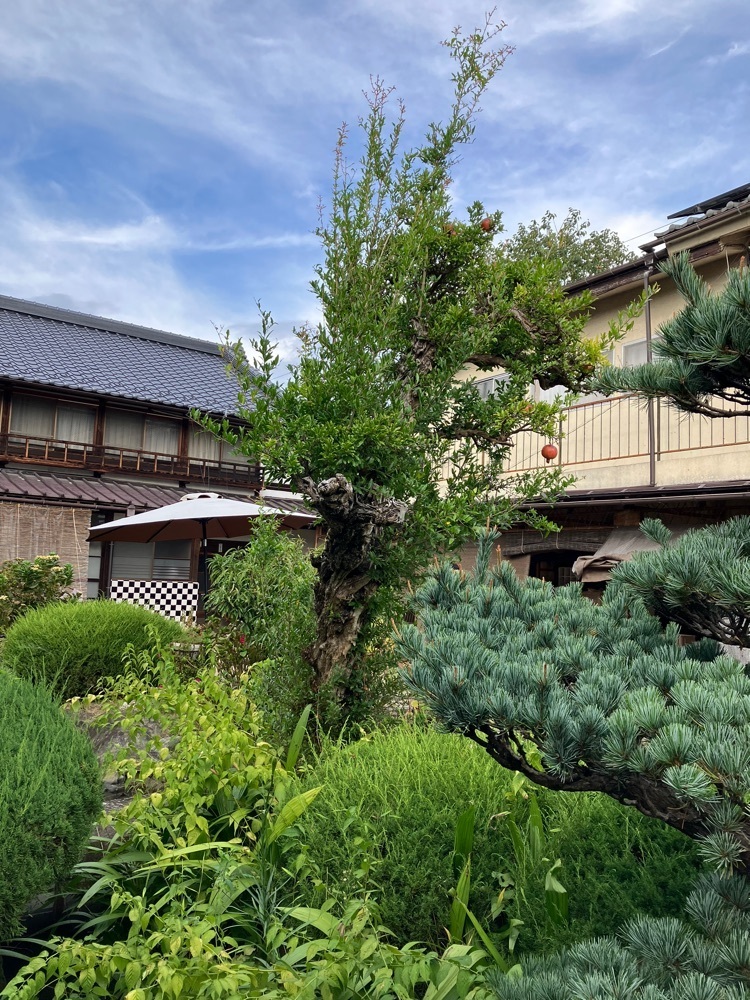 Nさんが投稿したKatsunuma 縁側茶房（カツヌマ エンガワサボウ）に関する口コミの画像
