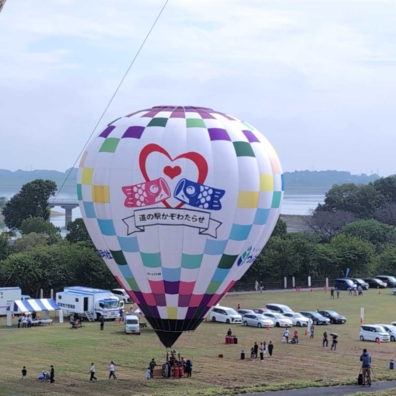 Pさんが投稿した渡良瀬遊水地（埼玉県加須市）に関する口コミの画像