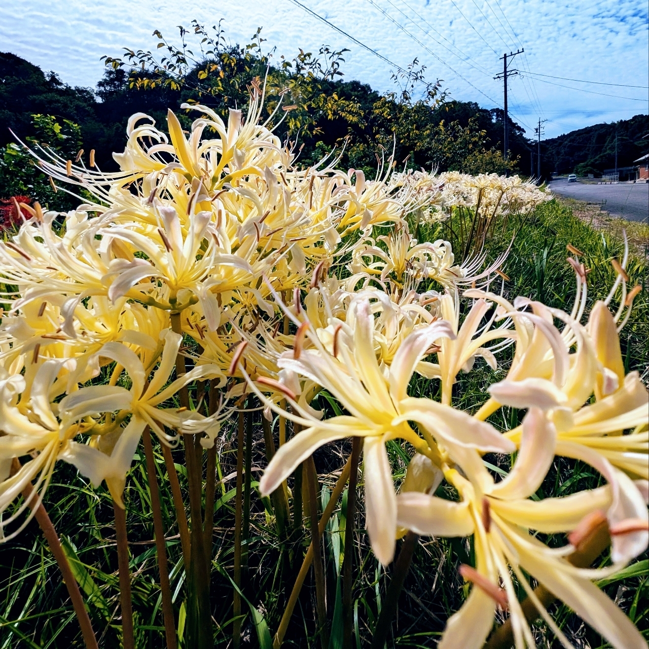 ぬっくさんが投稿した東海自然歩道に関する口コミの画像